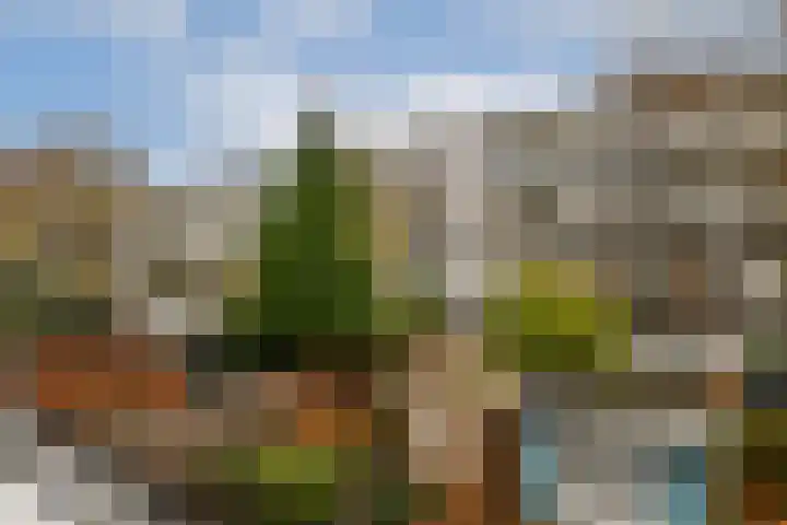 Orteliusstraat 50 H Amsterdam thumbnail 12