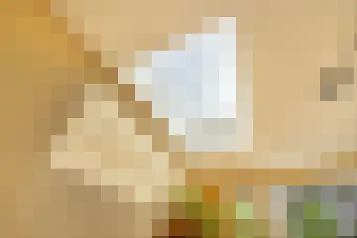 Orteliusstraat 60 1 Amsterdam thumbnail 20