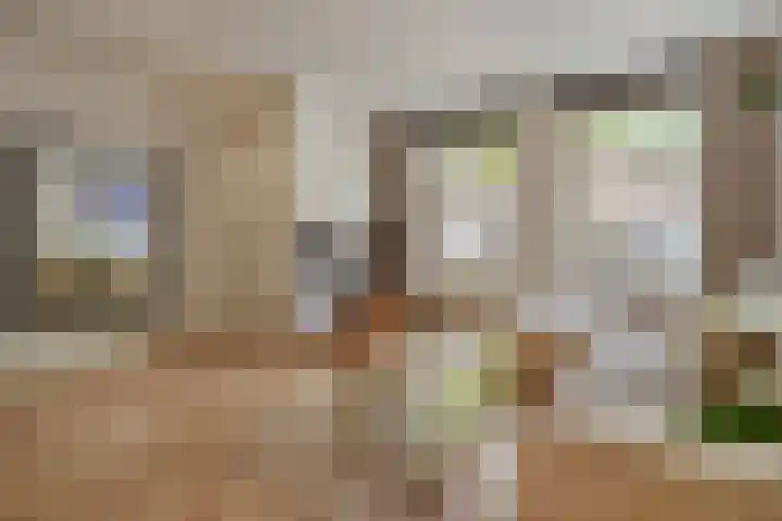 Orteliusstraat 60 1 Amsterdam thumbnail 8