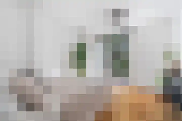 Orteliusstraat 62 2 Amsterdam thumbnail 18