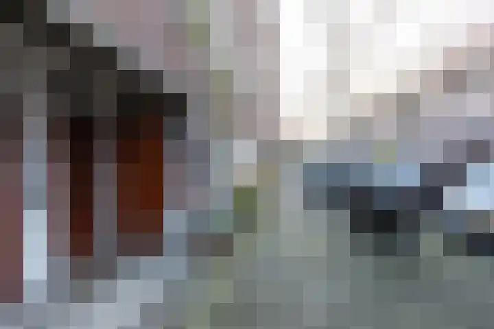 Orteliusstraat 64 H Amsterdam thumbnail 21