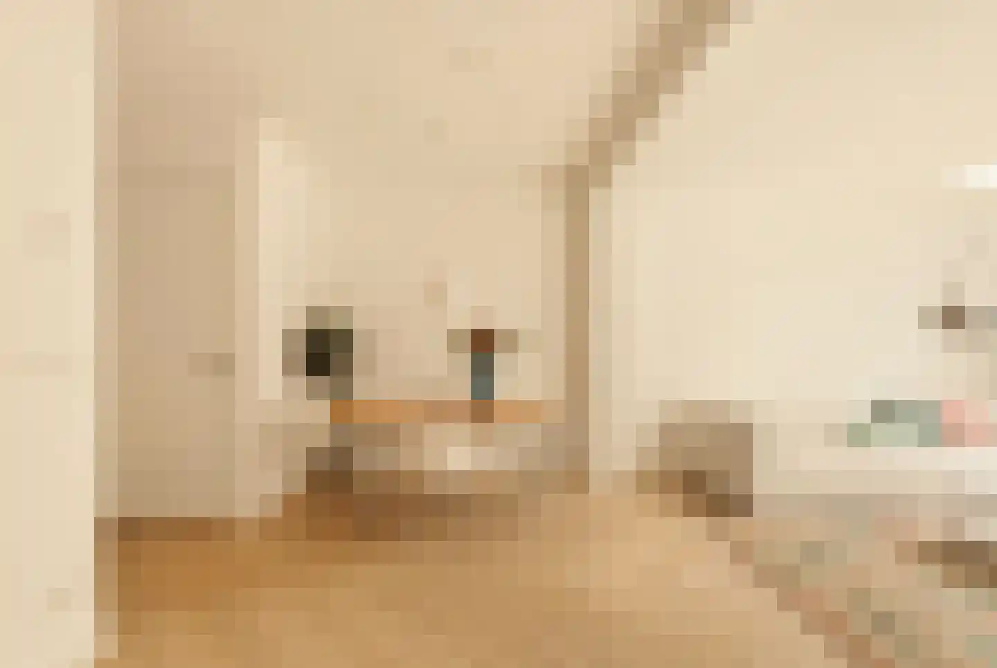 Orteliusstraat 73 H Amsterdam thumbnail 9