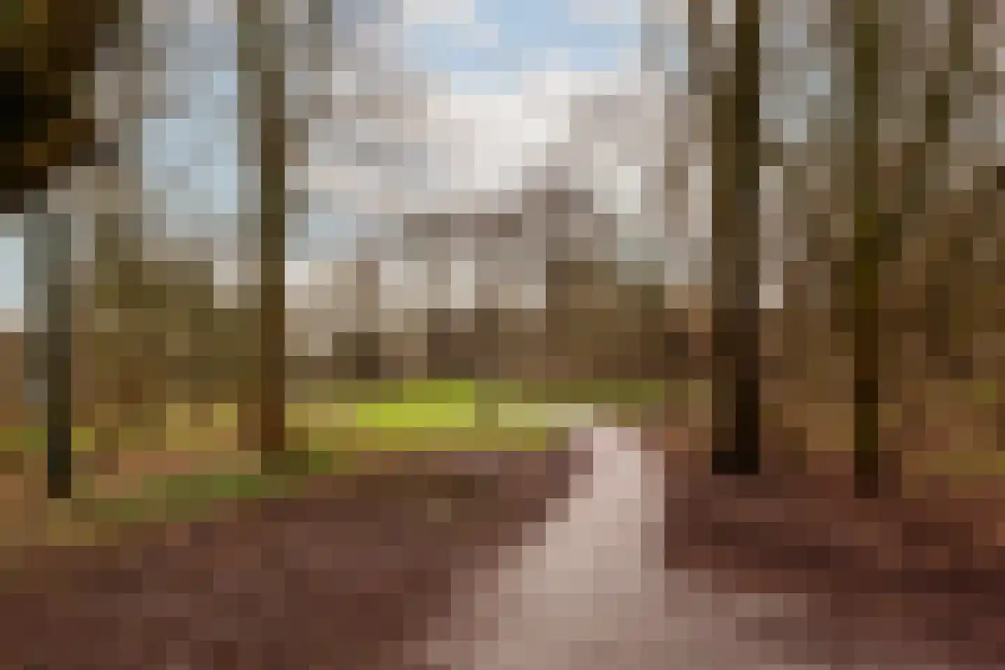Orteliusstraat 98 2 Amsterdam thumbnail 35