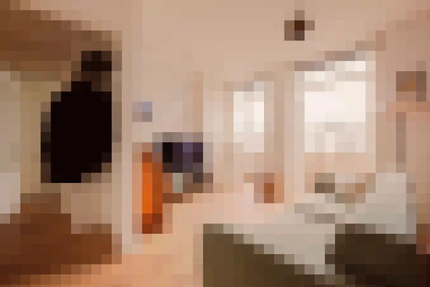 Orteliusstraat 98 2 Amsterdam thumbnail 4