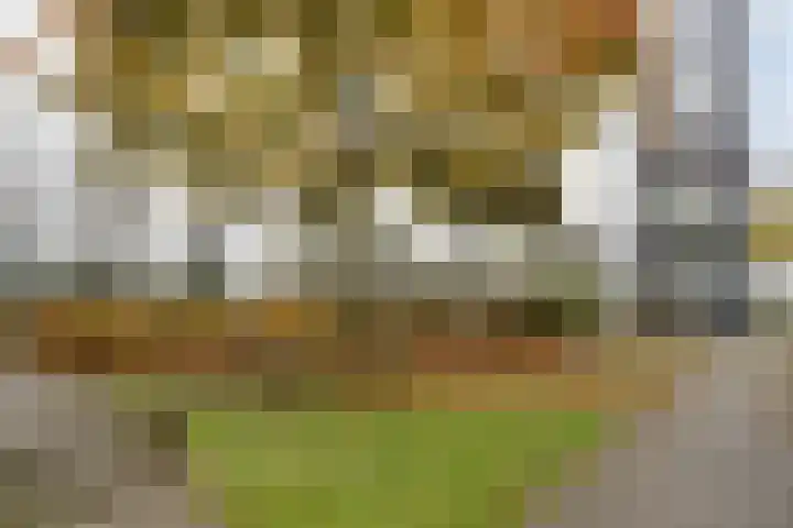 Orthen 129 's-Hertogenbosch thumbnail 17