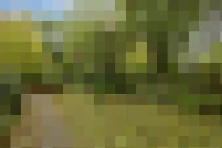 Orthen 129 's-Hertogenbosch thumbnail 19
