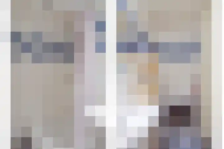 Orthen 159 's-Hertogenbosch thumbnail 13