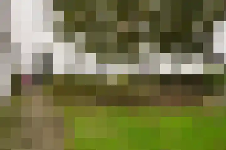 Orthen 173 's-Hertogenbosch thumbnail 24