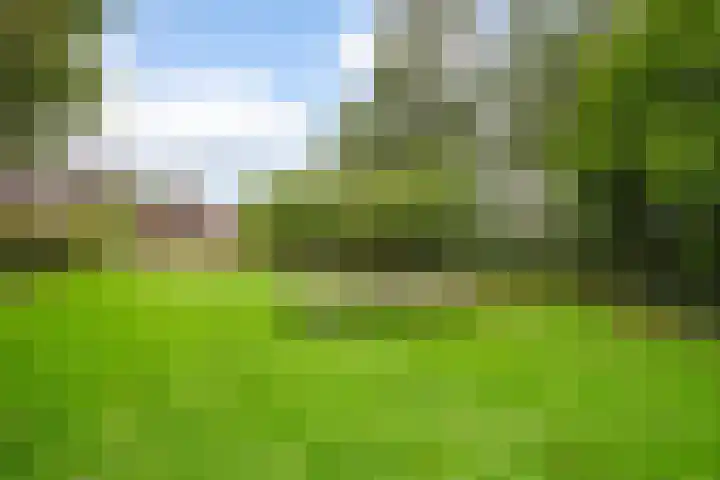Orthen 173 's-Hertogenbosch thumbnail 25