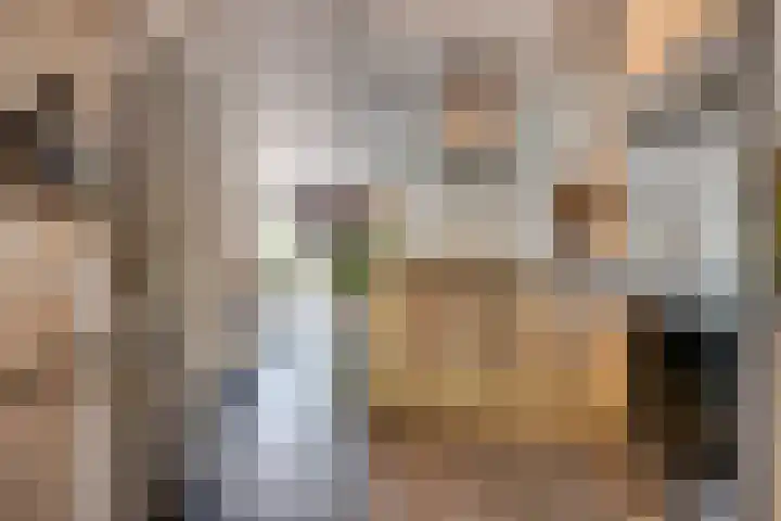 Orthen 204 's-Hertogenbosch thumbnail 15