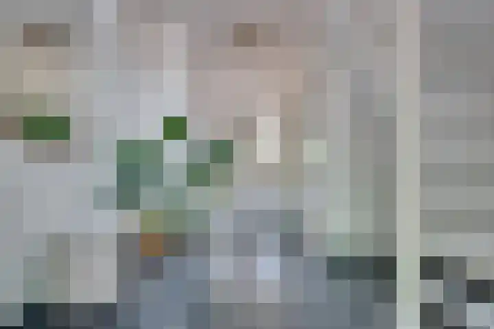 Orthen 204 's-Hertogenbosch thumbnail 19
