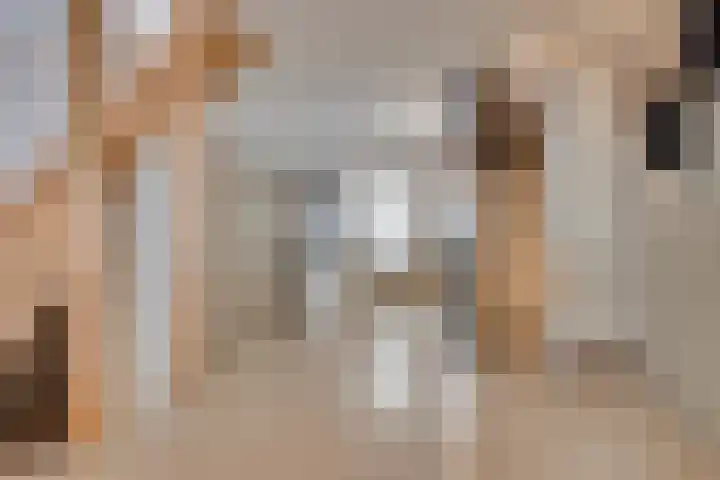 Orthen 204 's-Hertogenbosch thumbnail 31