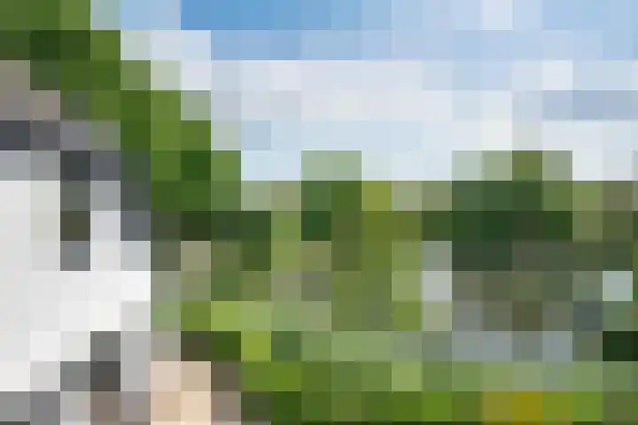 Orthen 204 's-Hertogenbosch thumbnail 35