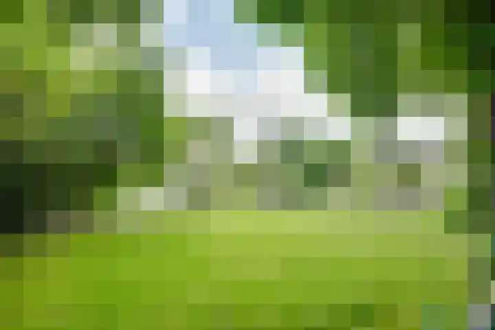 Orthen 204 's-Hertogenbosch thumbnail 37