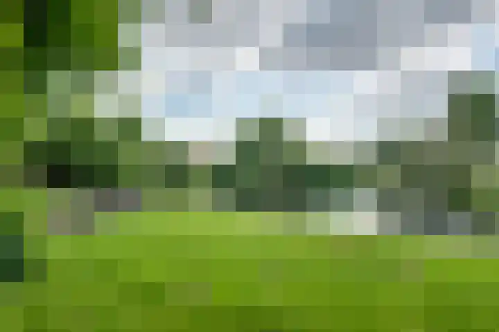 Orthen 204 's-Hertogenbosch thumbnail 38