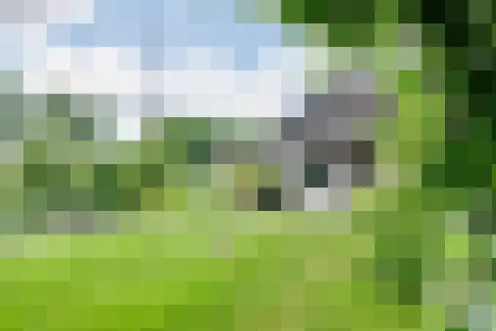 Orthen 204 's-Hertogenbosch thumbnail 39