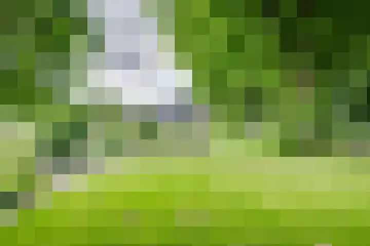 Orthen 204 's-Hertogenbosch thumbnail 4
