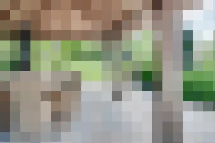 Orthen 204 's-Hertogenbosch thumbnail 40