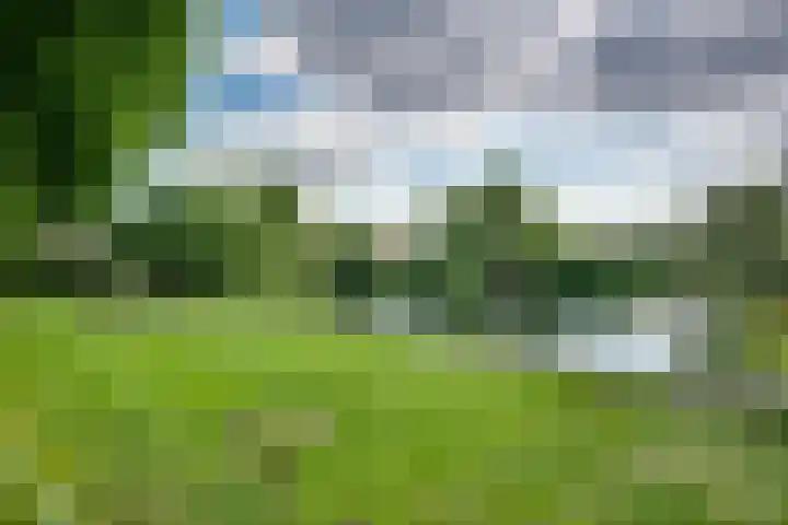 Orthen 204 's-Hertogenbosch thumbnail 42