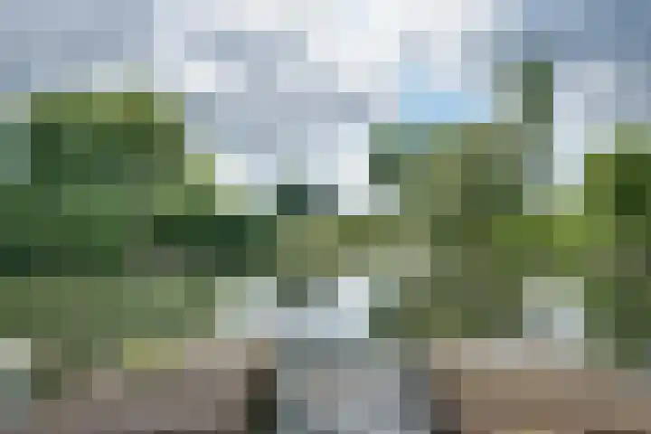 Orthen 204 's-Hertogenbosch thumbnail 43