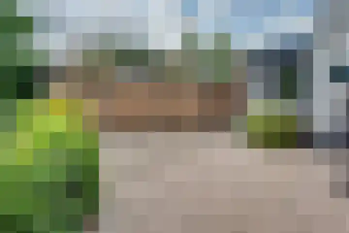 Orthen 204 's-Hertogenbosch thumbnail 46