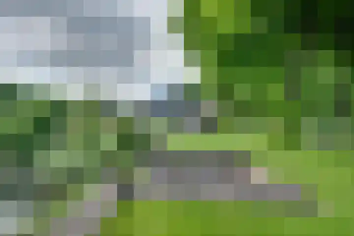 Orthen 204 's-Hertogenbosch thumbnail 49