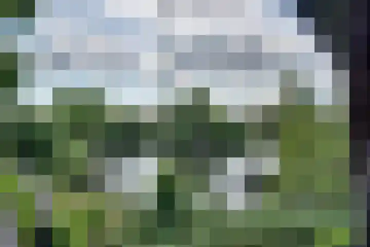 Orthen 204 's-Hertogenbosch thumbnail 50