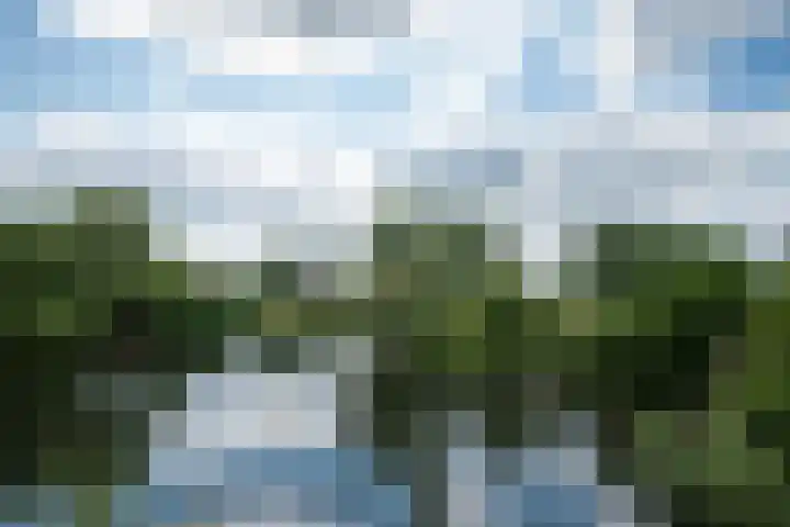 Orthen 204 's-Hertogenbosch thumbnail 51