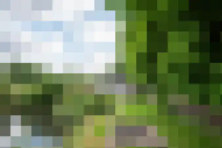 Orthen 204 's-Hertogenbosch thumbnail 52