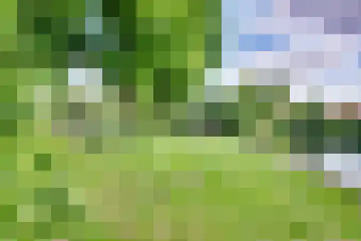 Orthen 204 's-Hertogenbosch thumbnail 53
