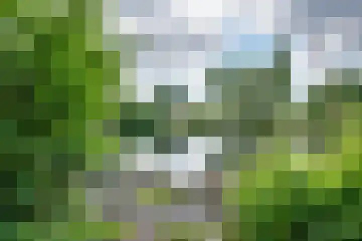 Orthen 204 's-Hertogenbosch thumbnail 54
