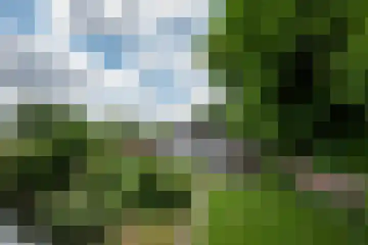 Orthen 204 's-Hertogenbosch thumbnail 55