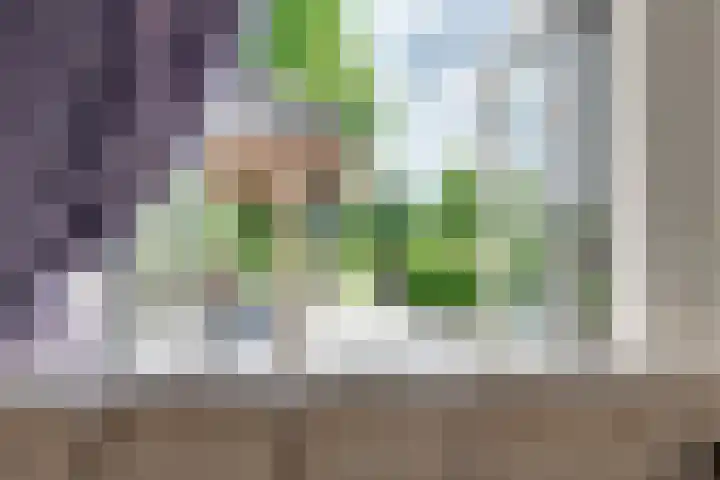 Orthen 204 's-Hertogenbosch thumbnail 8