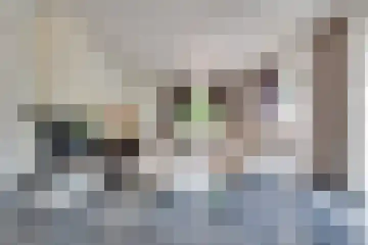 Orthen 204 's-Hertogenbosch thumbnail 9