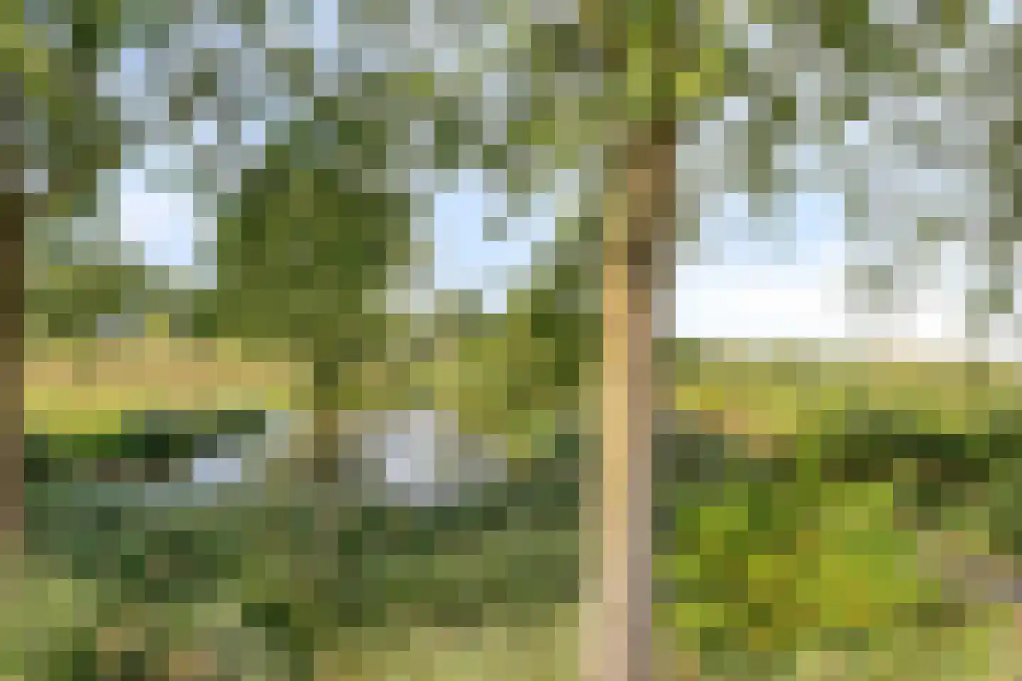 Orthen 207 's-Hertogenbosch thumbnail 23