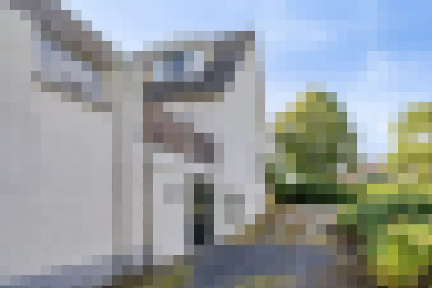 Orthen 207 's-Hertogenbosch thumbnail 24