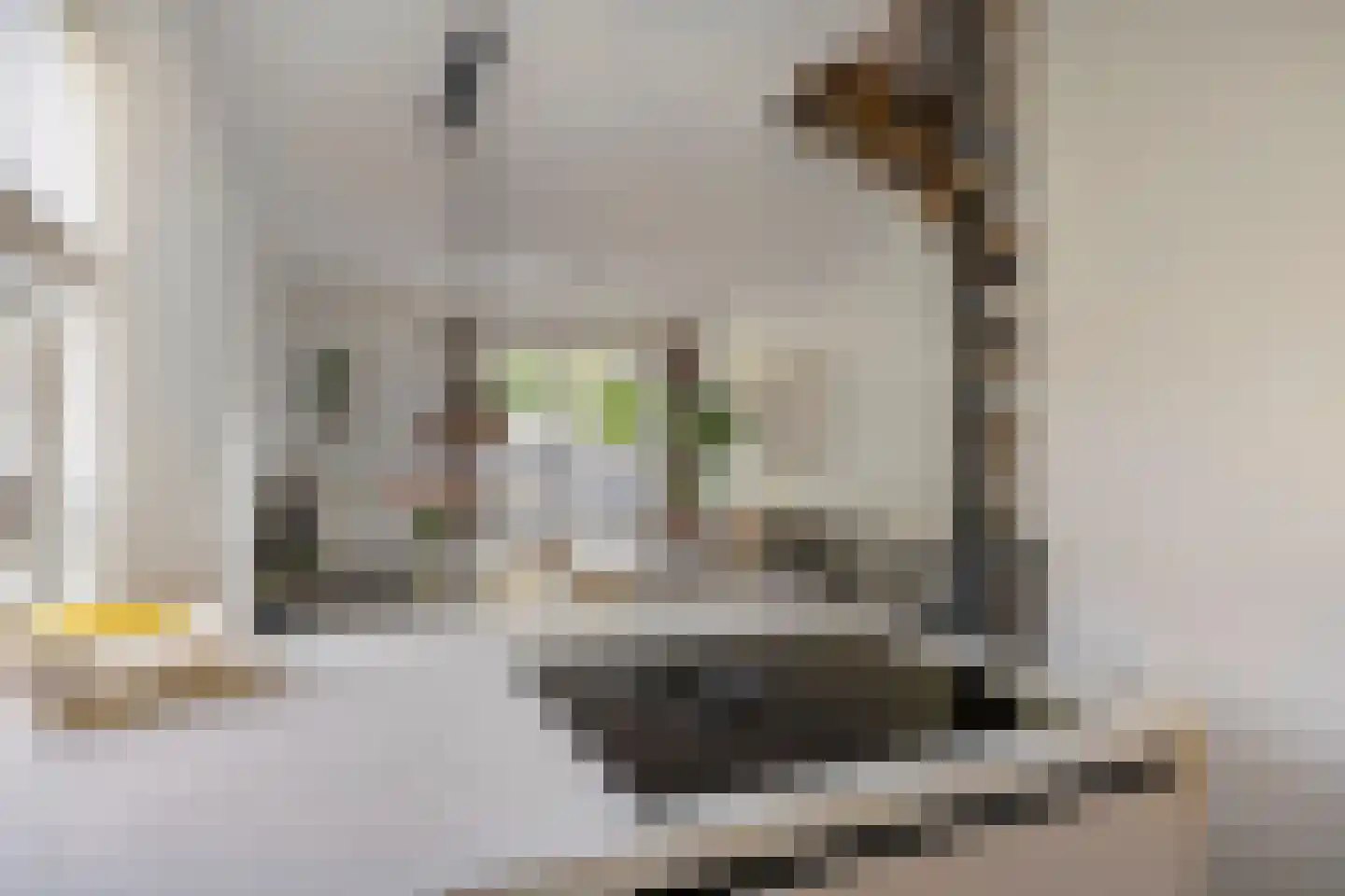 Orthen 207 's-Hertogenbosch thumbnail 8