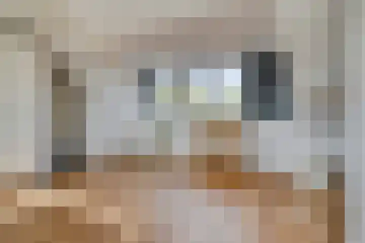 Orthen 31 's-Hertogenbosch thumbnail 34