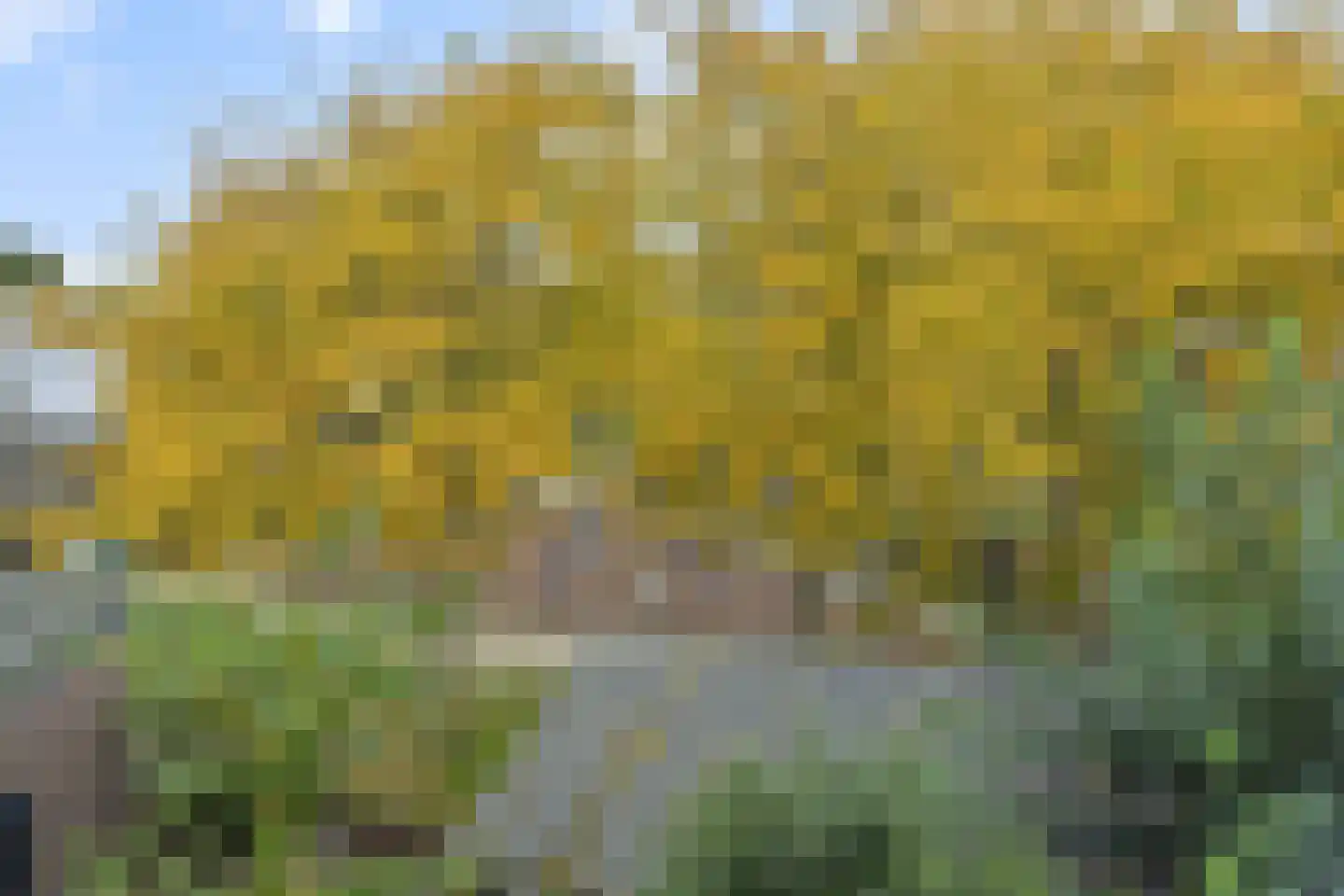 Orthense Hoven 16 's-Hertogenbosch thumbnail 30