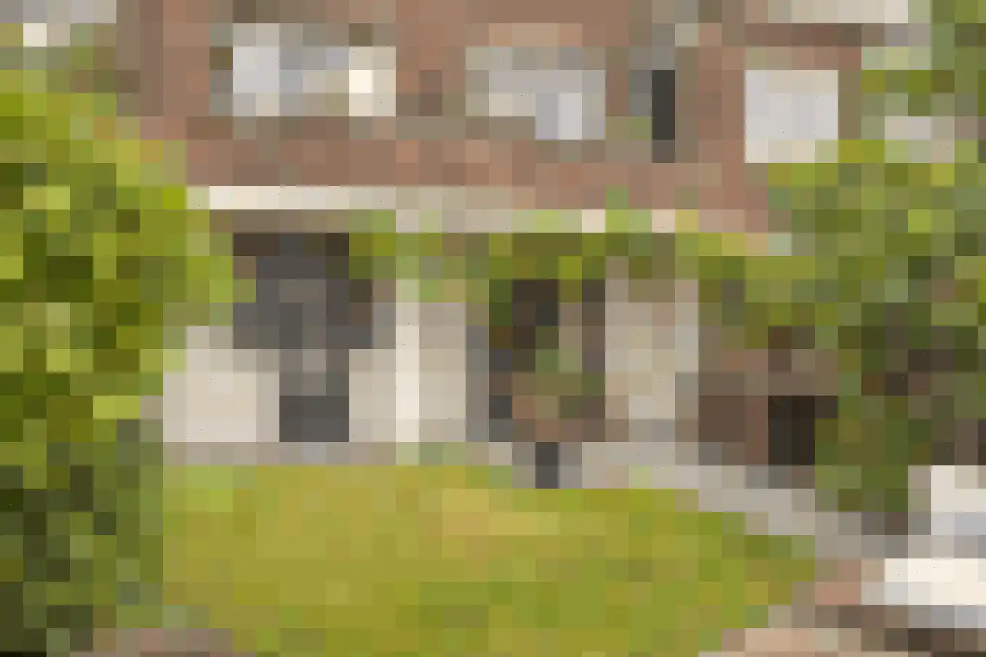 Orthenseweg 37 's-Hertogenbosch
