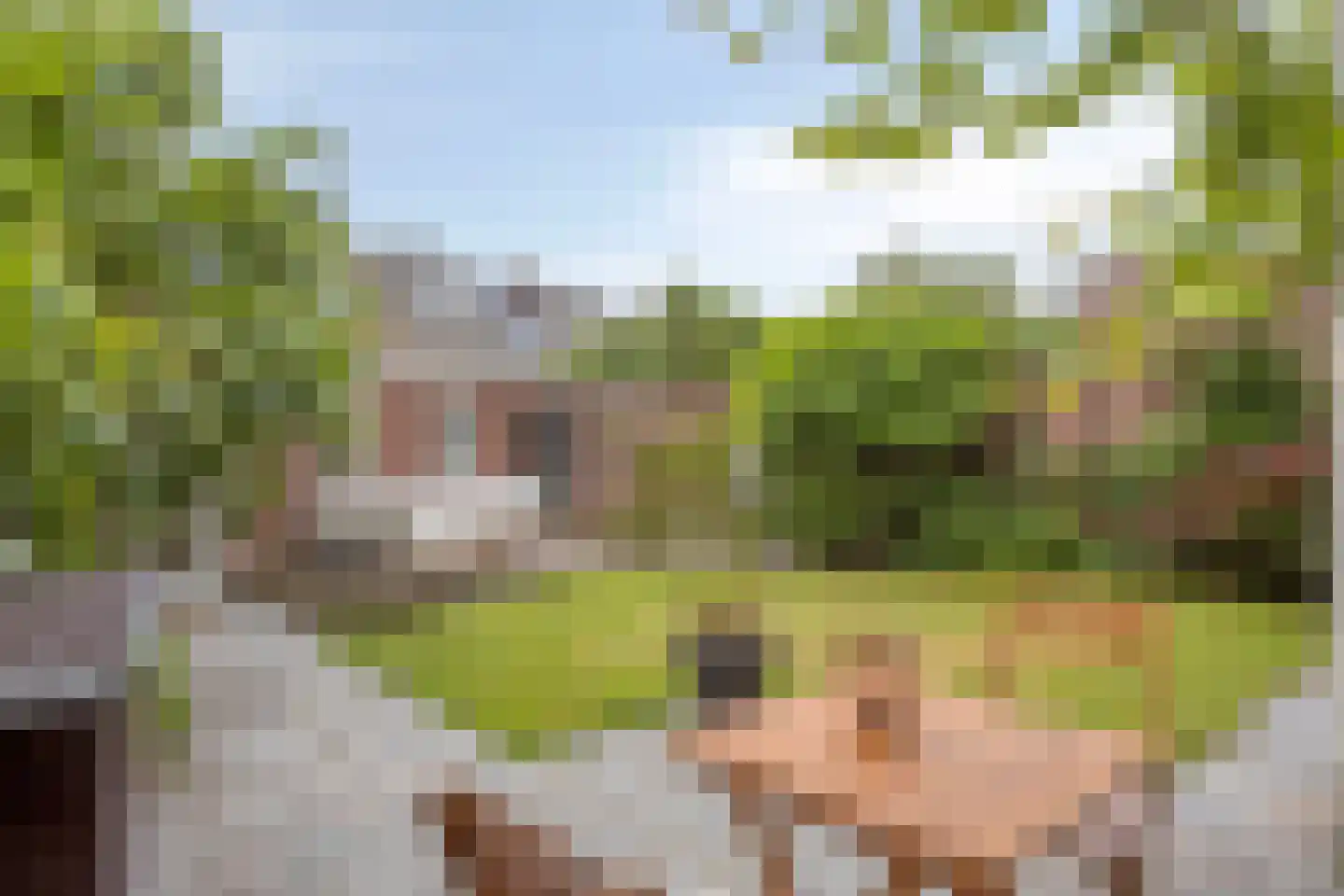 Orthenseweg 37 's-Hertogenbosch thumbnail 13