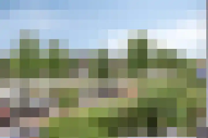 Orthenseweg 40 's-Hertogenbosch thumbnail 19