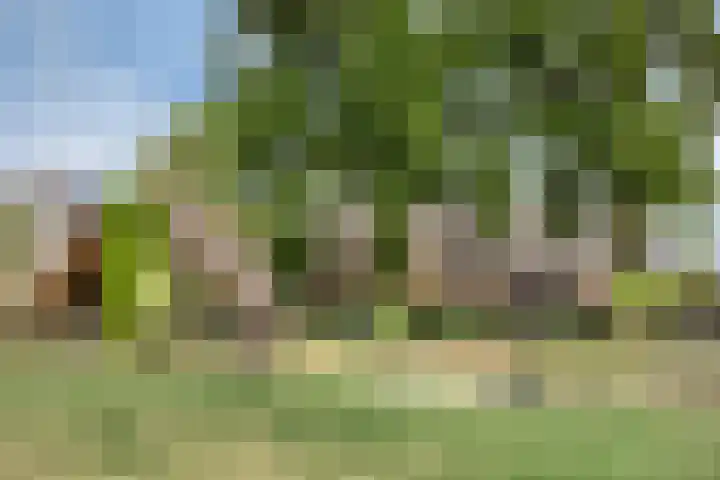 Orthenseweg 40 's-Hertogenbosch thumbnail 43
