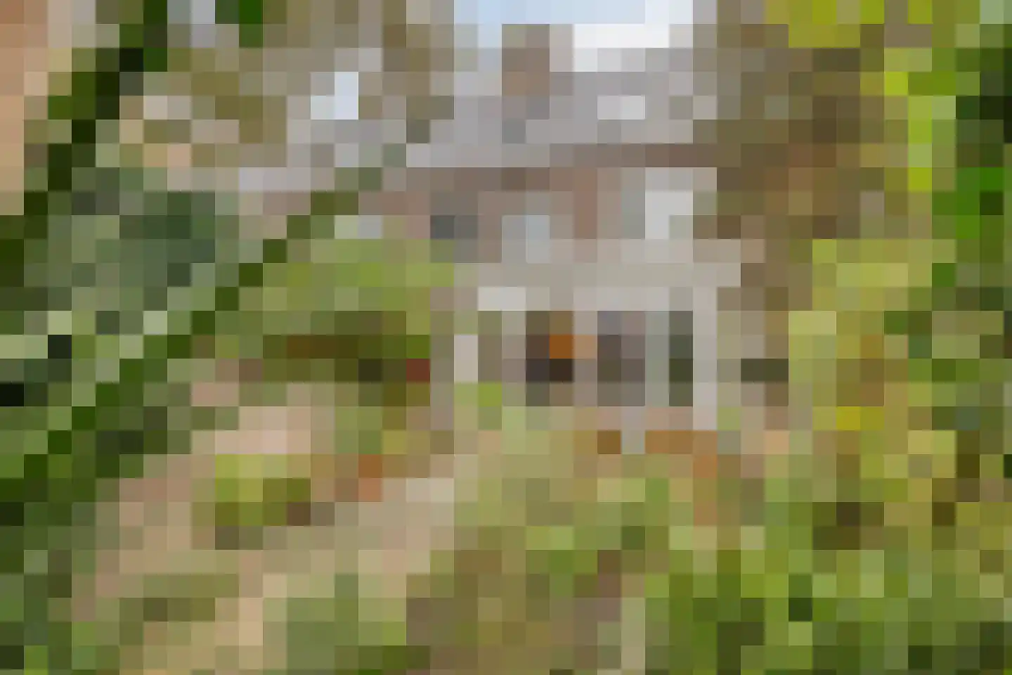 Orthenseweg 44 's-Hertogenbosch thumbnail 45