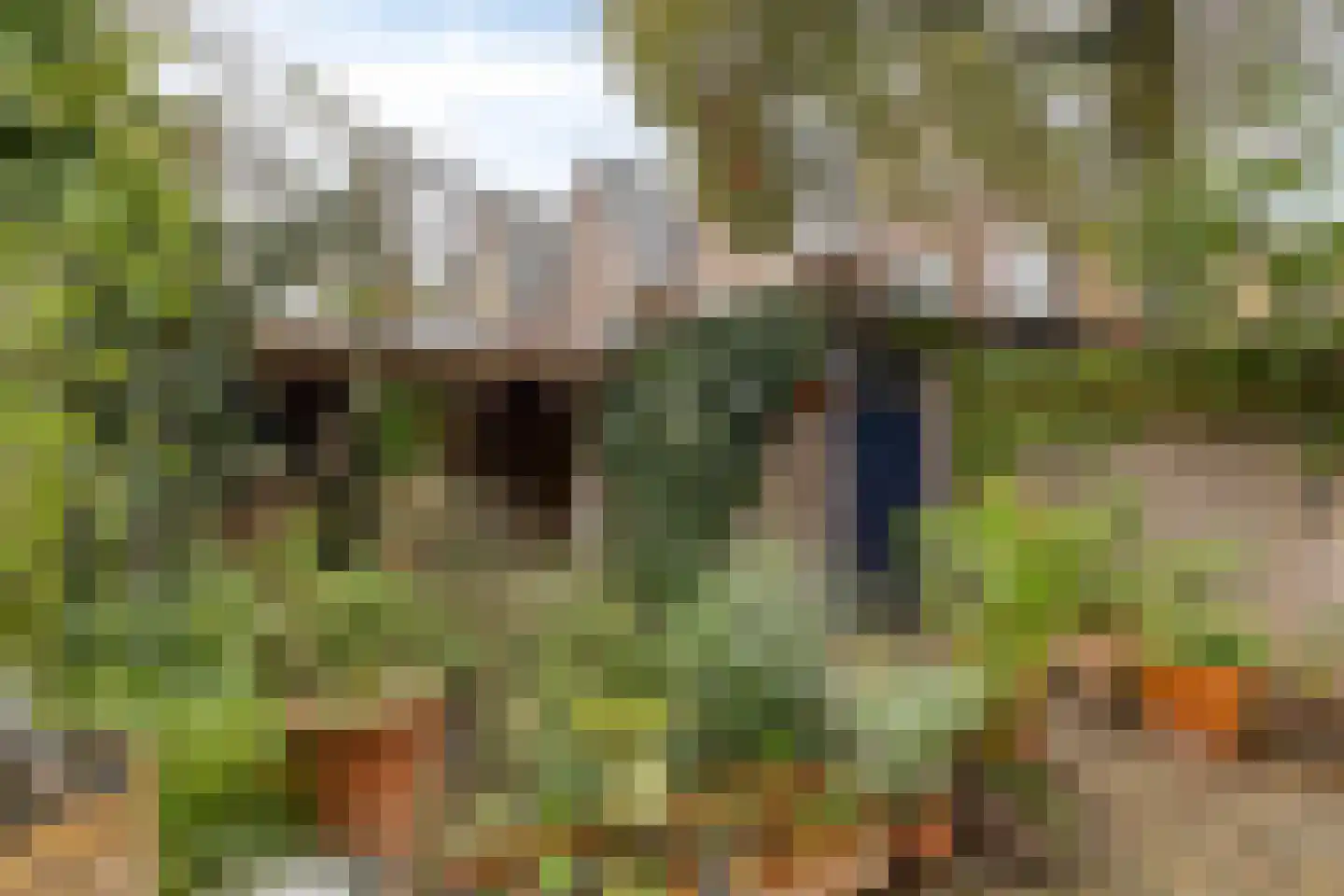 Orthenseweg 44 's-Hertogenbosch thumbnail 46