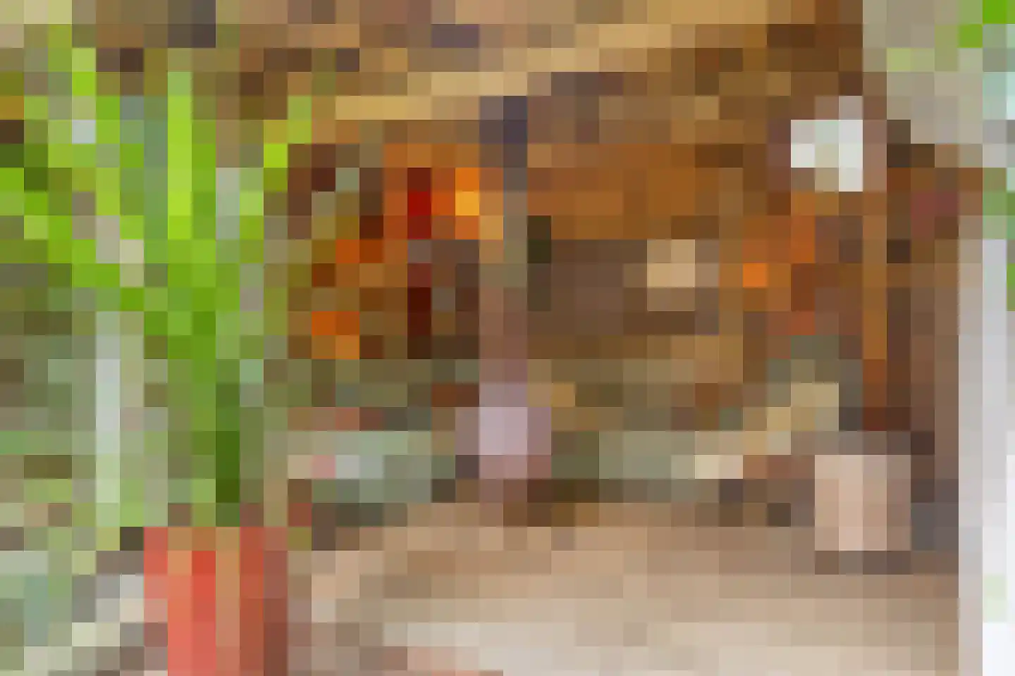 Orthenseweg 44 's-Hertogenbosch thumbnail 47