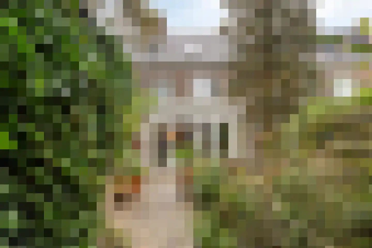 Orthenseweg 44 's-Hertogenbosch thumbnail 49
