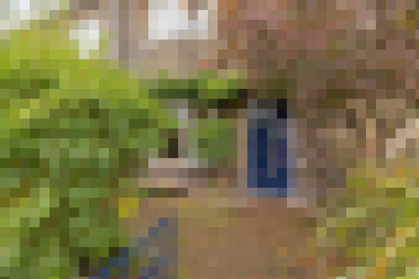 Orthenseweg 44 's-Hertogenbosch thumbnail 5