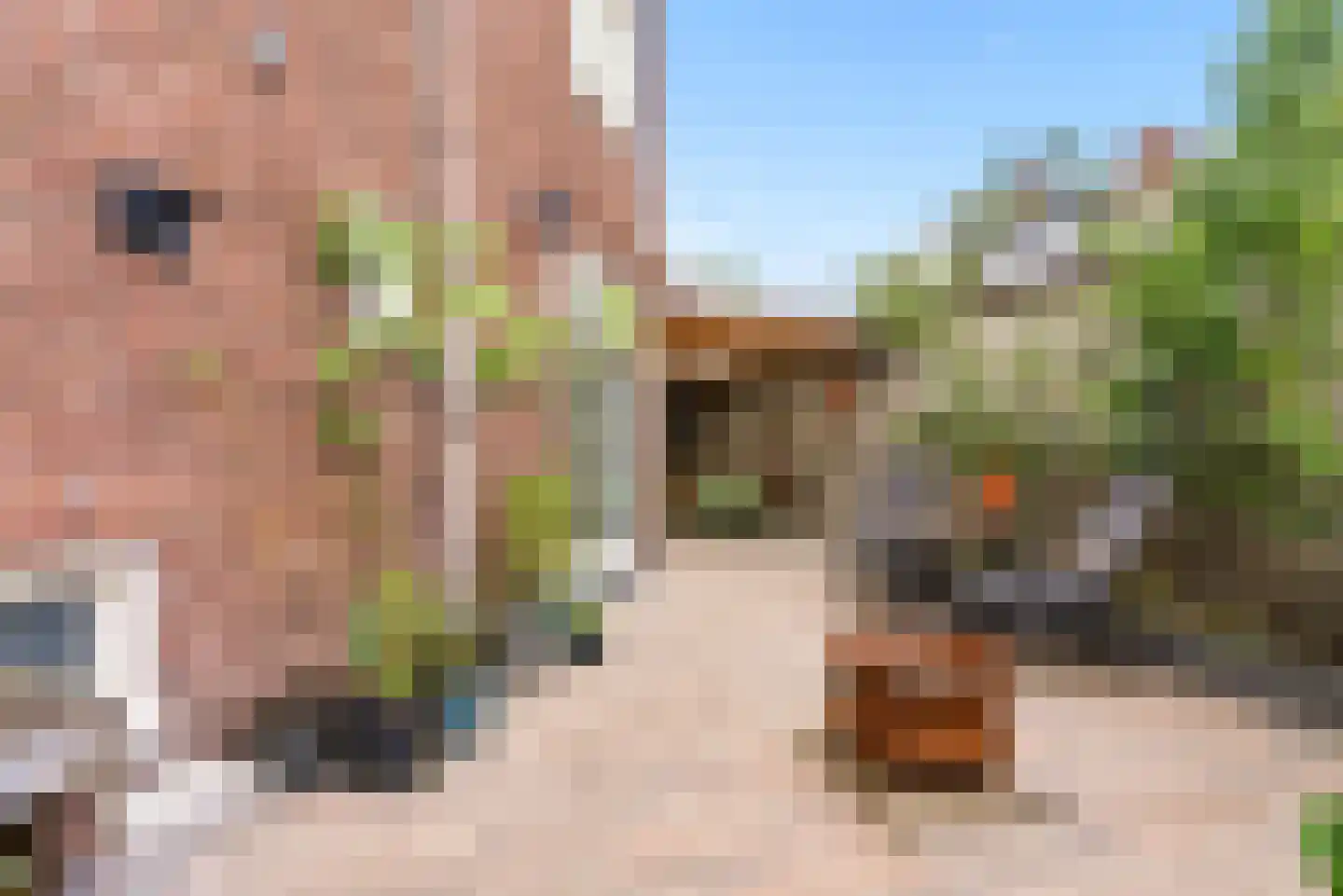 Orthenseweg 45 's-Hertogenbosch thumbnail 32