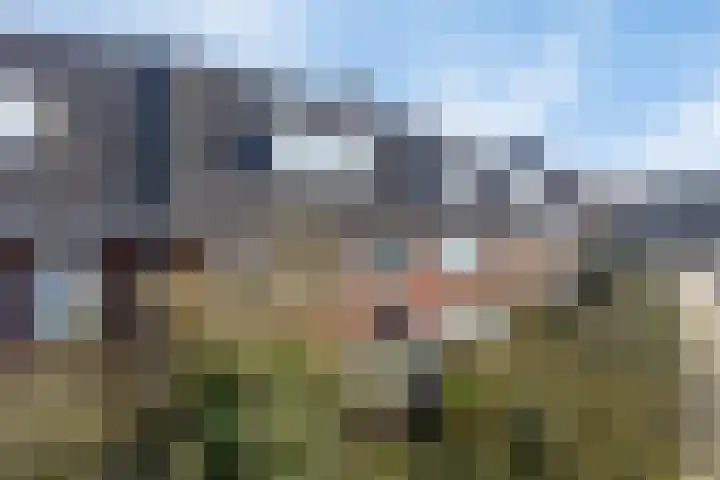Orthenseweg 51 's-Hertogenbosch thumbnail 37